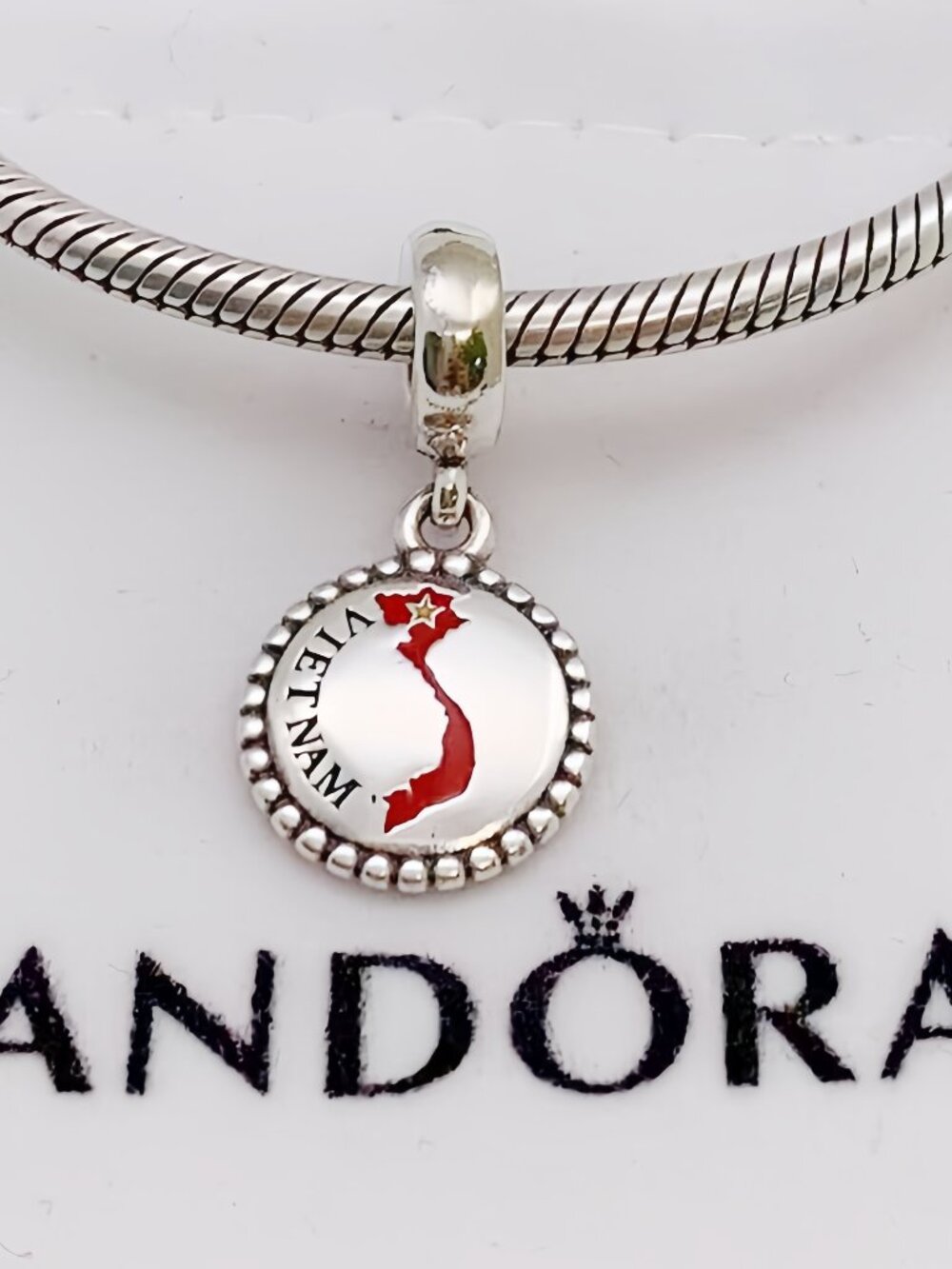 Pandora VIETNAM Map Pendant Charm